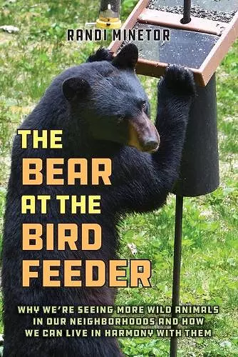 The Bear at the Bird Feeder cover