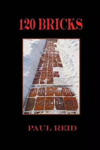 120 Bricks cover