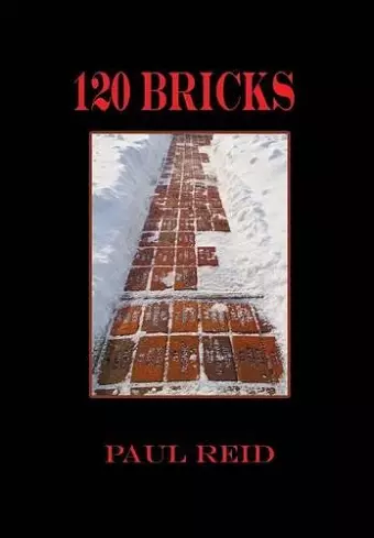 120 Bricks cover