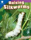 Raising Silkworms cover