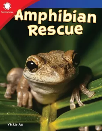 Amphibian Rescue cover