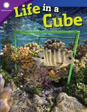 Life in a Cube cover