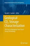 Geological CO2 Storage Characterization cover