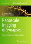 Nanoscale Imaging of Synapses cover