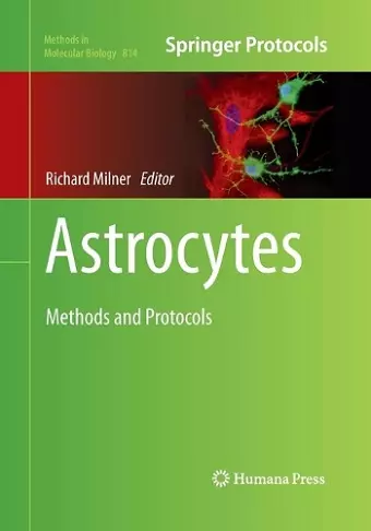 Astrocytes cover