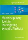 Multidisciplinary Tools for Investigating Synaptic Plasticity cover