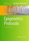 Epigenetics Protocols cover