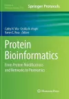 Protein Bioinformatics cover