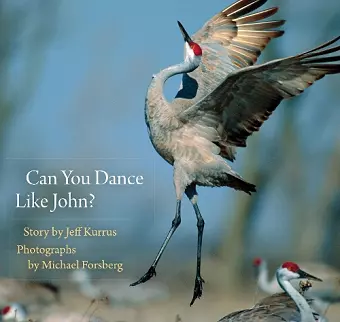 Can You Dance Like John? cover