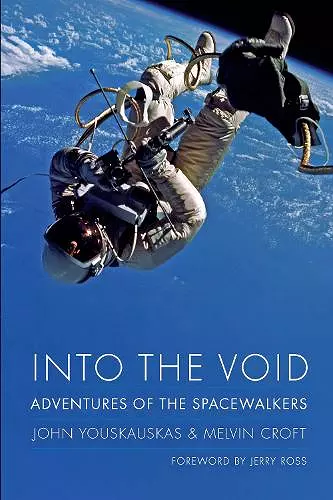 Into the Void cover