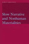Slow Narrative and Nonhuman Materialities cover