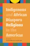 Indigenous and African Diaspora Religions in the Americas cover