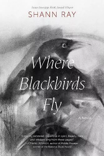 Where Blackbirds Fly cover
