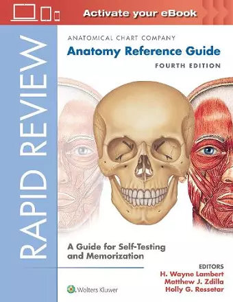 Rapid Review: Anatomy Reference Guide cover