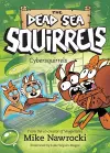 Cybersquirrels cover