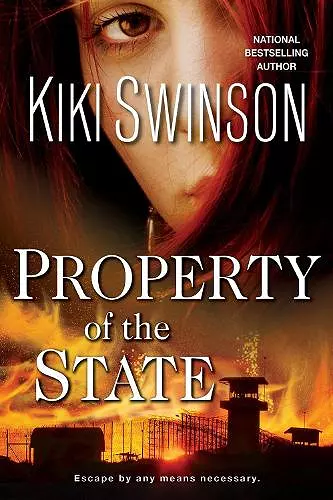 Property of the State cover