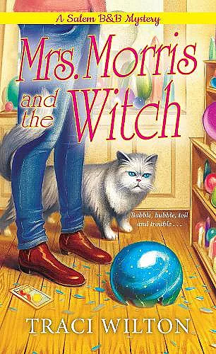 Mrs. Morris and the Witch cover