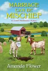 Marriage Can Be Mischief cover