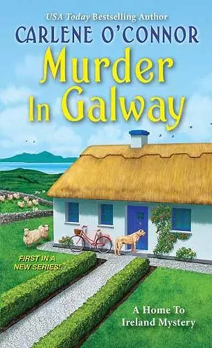 Murder in Galway cover
