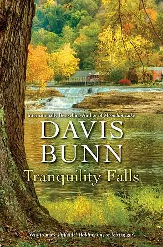 Tranquility Falls cover