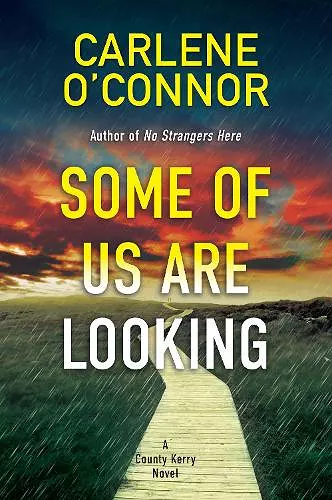 Some of Us Are Looking cover