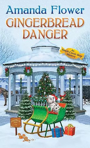 Gingerbread Danger cover