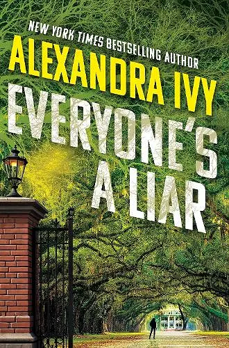 Everyone's a Liar cover
