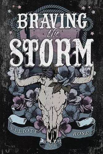 Braving the Storm cover