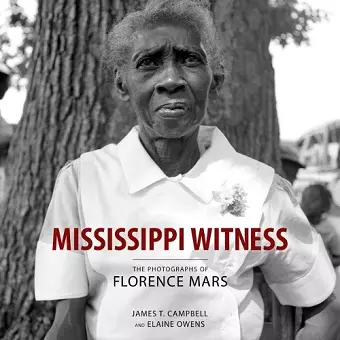 Mississippi Witness cover