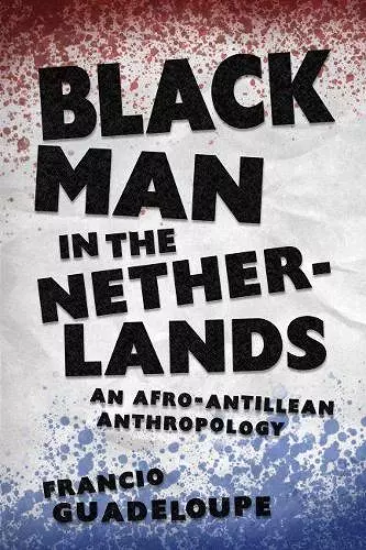 Black Man in the Netherlands cover