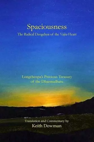 Spaciousness cover