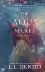 The Aqua Secret cover