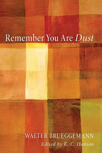 Remember You Are Dust cover