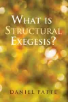 What Is Structural Exegesis? cover