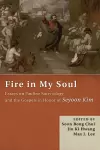 Fire in My Soul cover