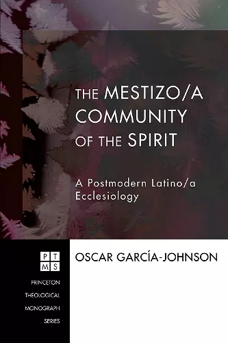 The Mestizo/A Community of the Spirit cover