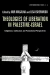 Theologies of Liberation in Palestine-Israel cover