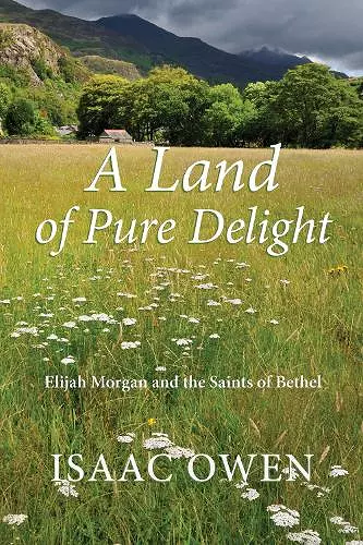 A Land of Pure Delight cover