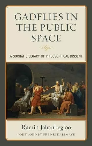 Gadflies in the Public Space cover