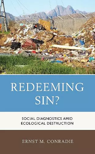 Redeeming Sin? cover