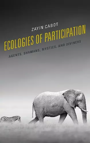 Ecologies of Participation cover