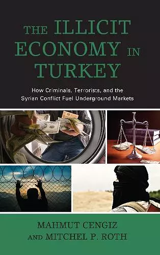 The Illicit Economy in Turkey cover