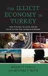 The Illicit Economy in Turkey cover