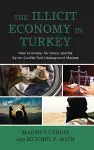 The Illicit Economy in Turkey cover