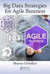 Big Data Strategies for Agile Business cover