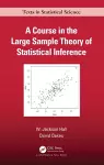 A Course in the Large Sample Theory of Statistical Inference cover