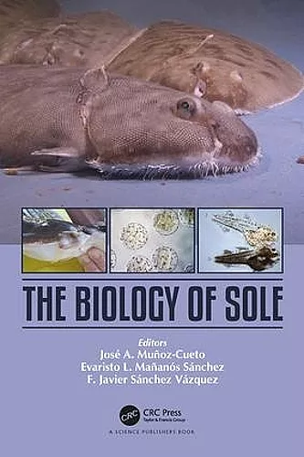 The Biology of Sole cover