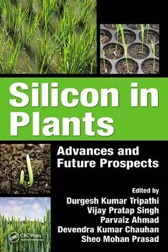 Silicon in Plants cover