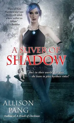 A Sliver of Shadow cover