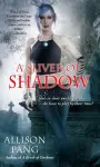A Sliver of Shadow cover